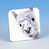 8201 Coaster-MARK CHARLES-ALPACA